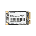 mSATA SSD（图1）