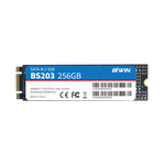 M.2 SATA SSD（图1）
